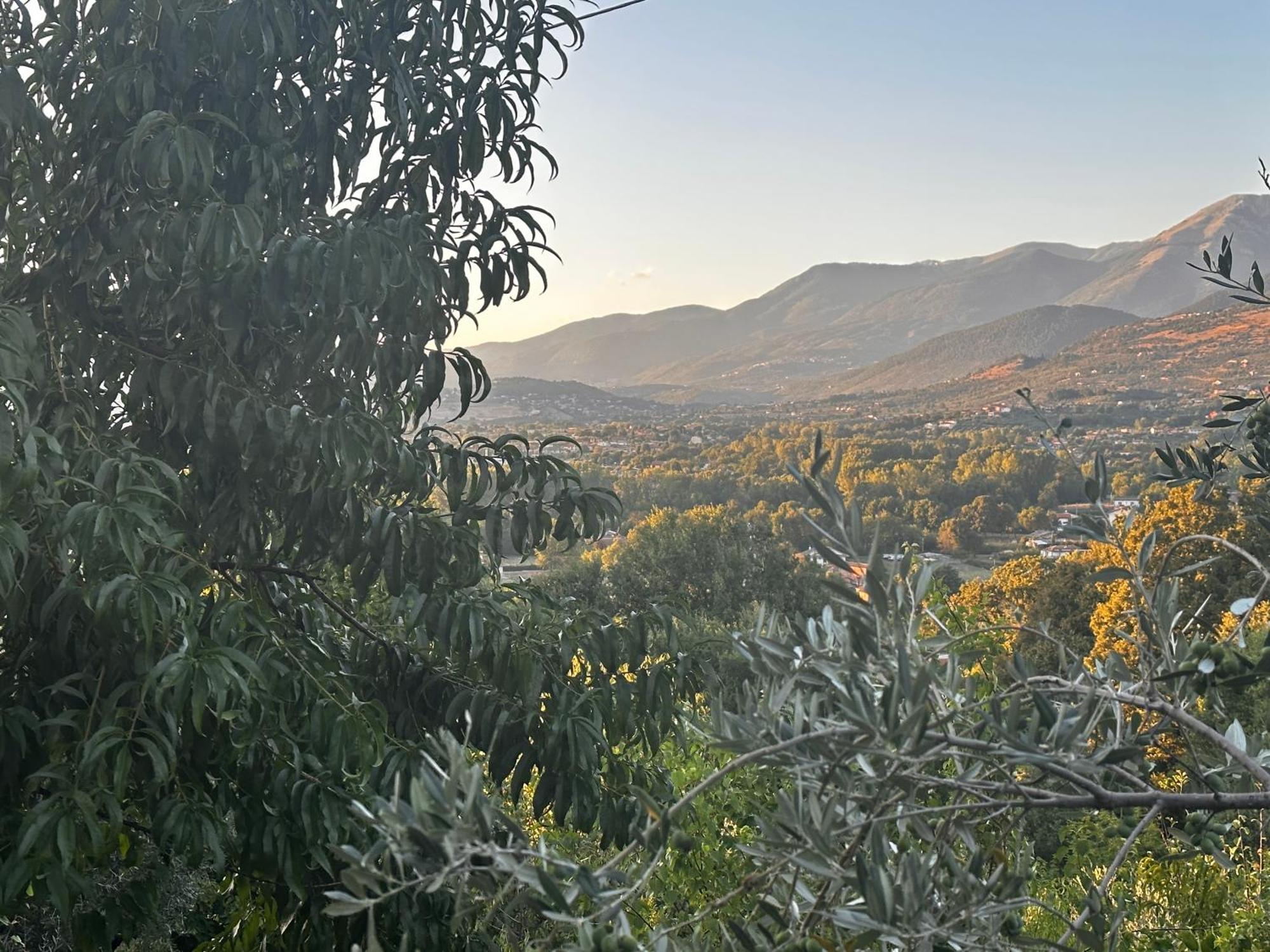 דירות Veroli La Casa In Collina מראה חיצוני תמונה