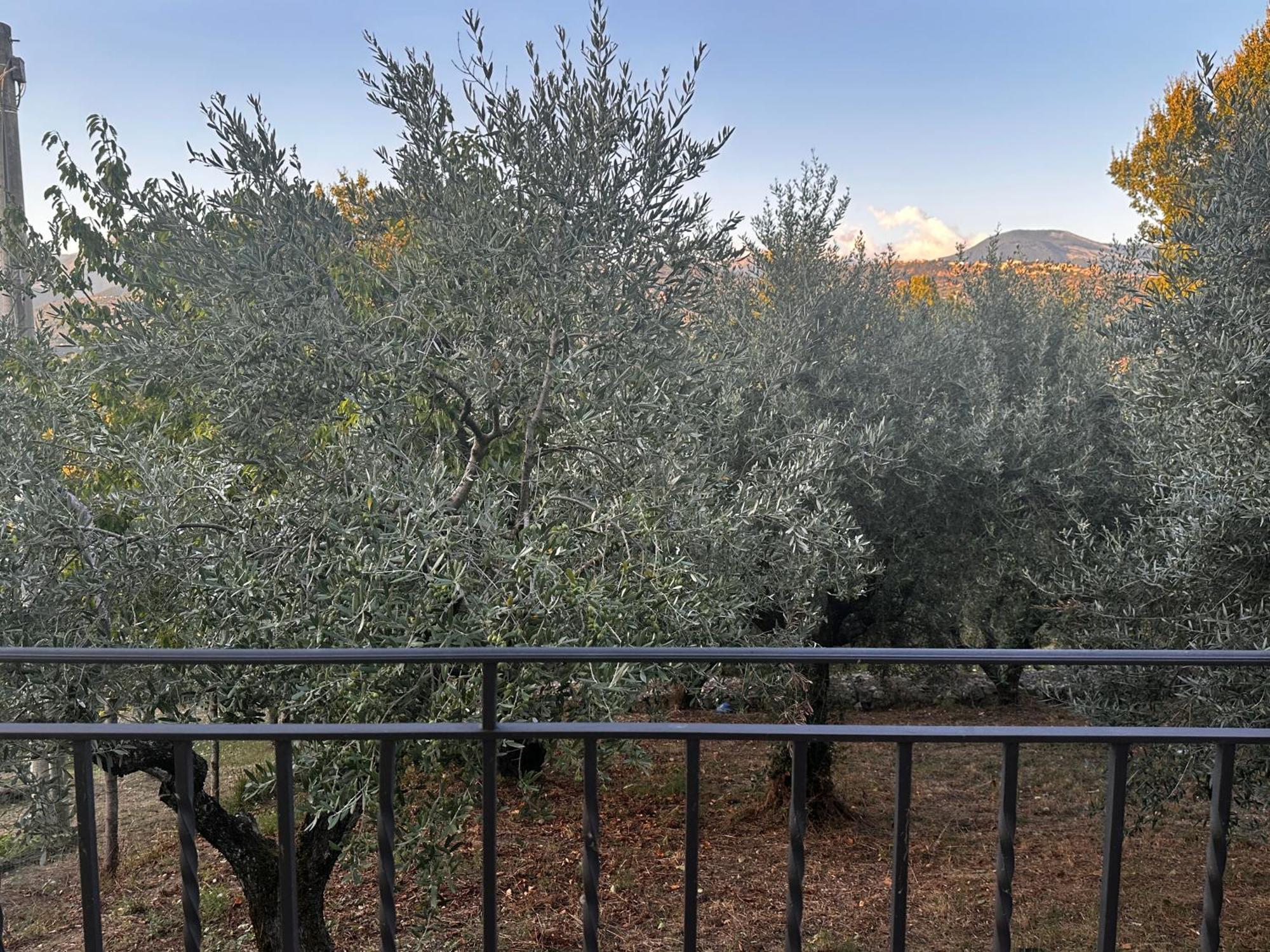 דירות Veroli La Casa In Collina מראה חיצוני תמונה